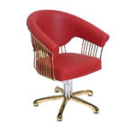 KUAFÖR KOLTUKLARI BD-502